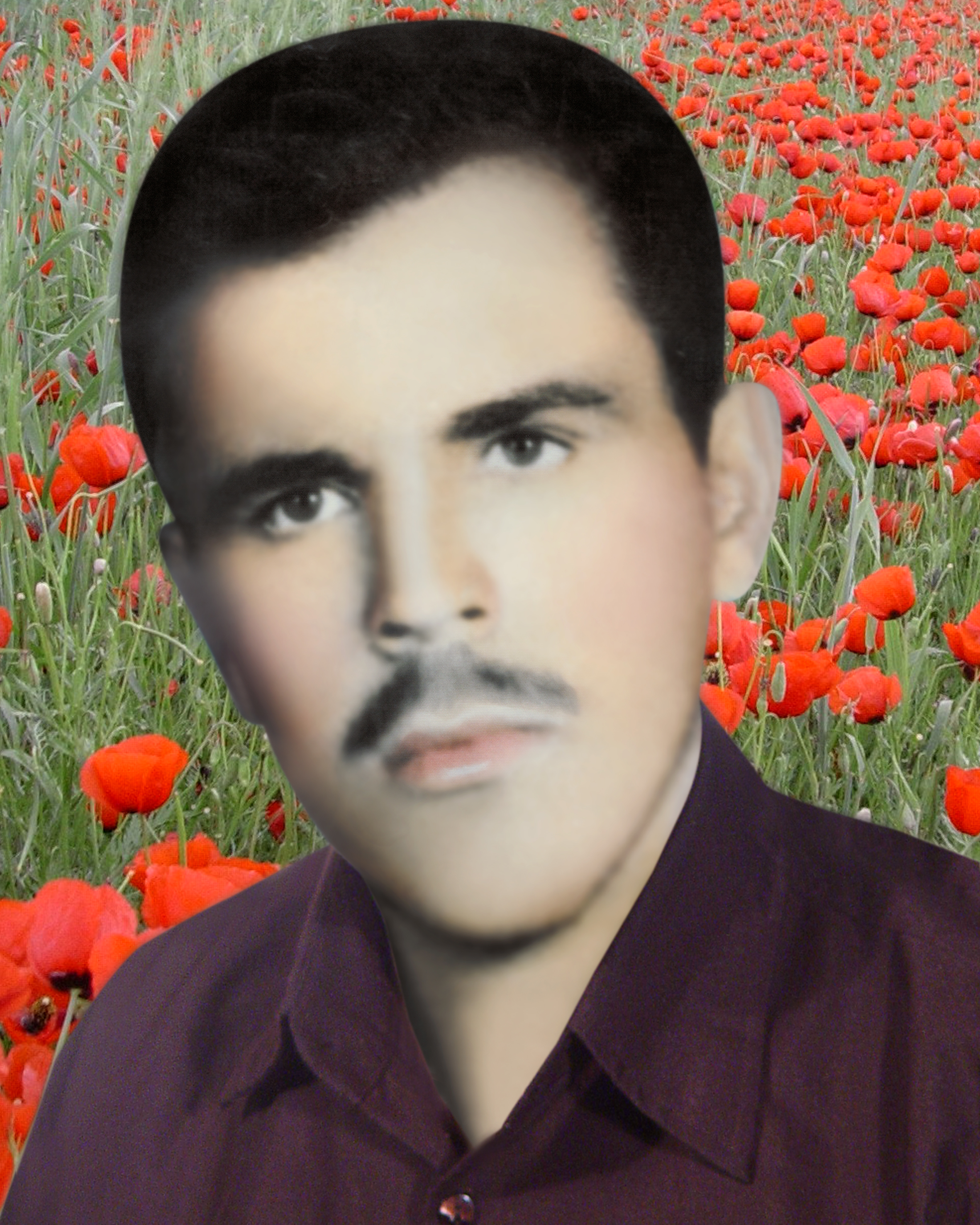 شهید علی محمد حسین پور